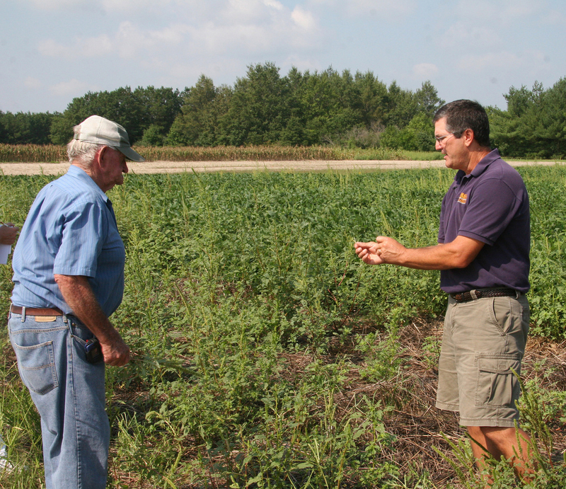 Delaware tackles invasive weeds Cape Gazette